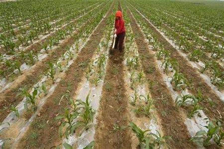 Trung Quốc chi hàng tỉ USD trợ cấp cho nông dân 2