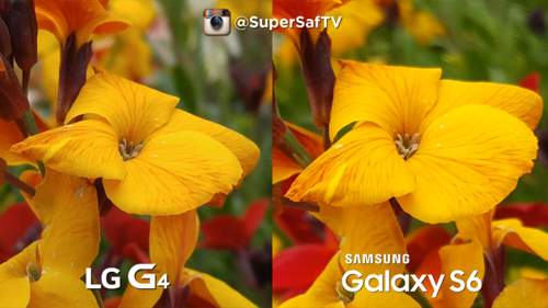So sánh camera LG G4 với Galaxy S6 6