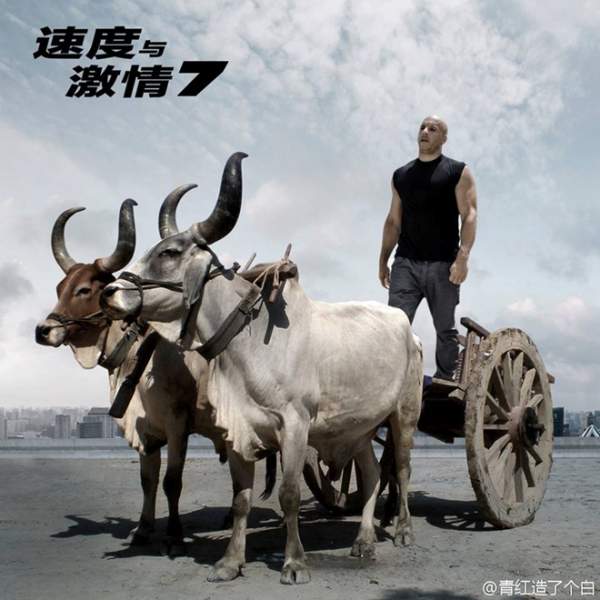 Sao "Fast & Furious 7" bị fan chế ảnh cưỡi xe bò 2