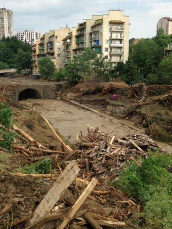 Gruzia: Sau lụt, thú dữ xổng chuồng "dạo chơi" khắp phố 2