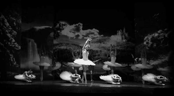 Hồ Thiên Nga: Vở ballet kinh điển trong kỷ nguyên giải trí 2