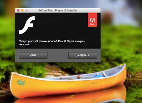 Hướng dẫn cách gỡ bỏ Flash Player trên Windows và Mac 2