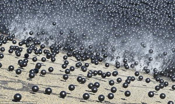 Thả 96 triệu quả bóng nhựa vào hồ nước để chống hạn hán 4