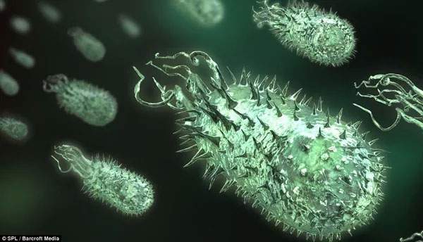 Thế giới “kì thú” của vi khuẩn trong cơ thể người 3