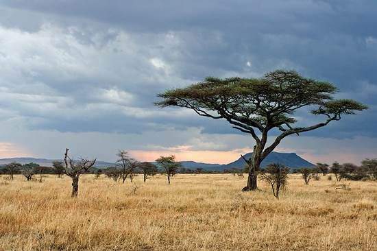 7 kỳ quan thiên nhiên của châu Phi 4