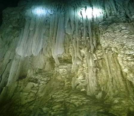 Phát hiện hang động “mới” ở vườn quốc gia Phong Nha - Kẻ Bàng 2