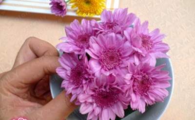 Chị em khéo tay cắm hoa cúc để bàn đẹp trang trí nhà 4