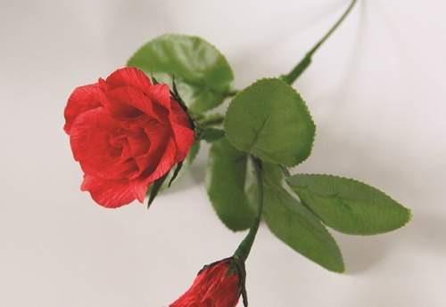 Góp giấy học cách làm hoa hồng đơn giản mà đẹp "miễn bàn" 7