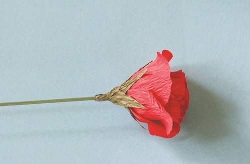 Góp giấy học cách làm hoa hồng đơn giản mà đẹp "miễn bàn" 5