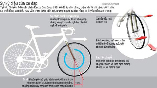 Làm thế nào xe đạp có thể đứng thẳng mà không bị ngã? 2