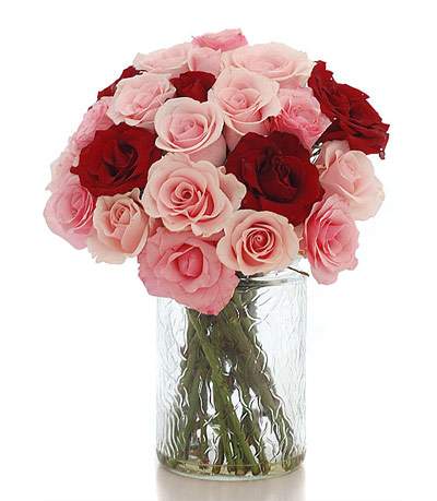 Những cách cắm hoa hồng đơn giản mà đẹp không ngờ 16