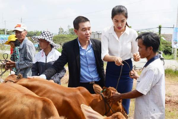FrieslandCampina Việt Nam tặng bò cho nông dân tỉnh Long An 2