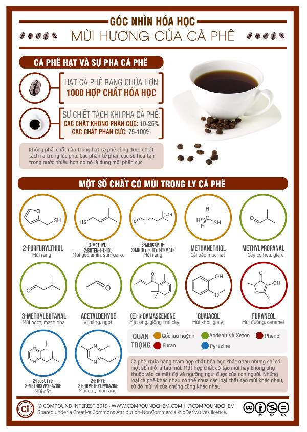 Làm thế nào để pha một ly cà phê hoàn hảo? 2