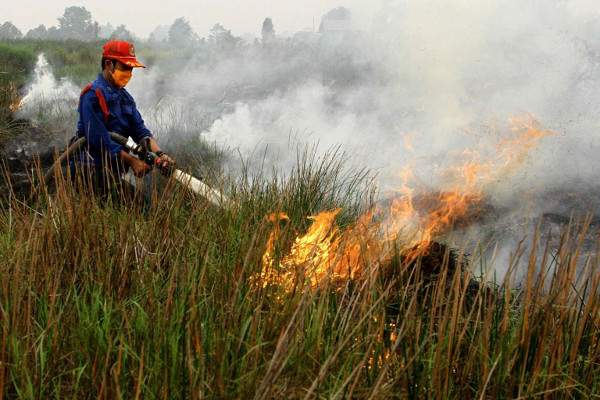 Indonesia nhờ Nga, Nhật giúp khống chế cháy gây mù khô