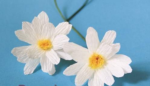 Học cách làm hoa cúc bằng giấy nhún theo phong cách hoang dã 6