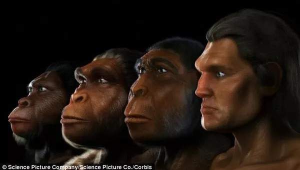 Quá trình mặt người tiến hóa dài 6 triệu năm chỉ trong 1 phút 2