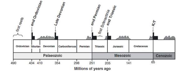 Sinh giới đã phục hồi thế nào sau đại tuyệt chủng? 2