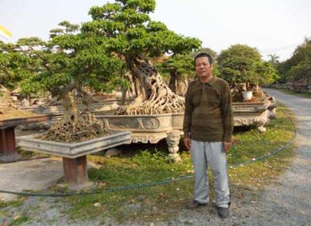 Cây cảnh 20 tỷ trưng Tết: Báu vật trăm tuổi của đại gia Việt 3