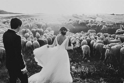 Những bức ảnh cưới đẹp nhất 2015 10