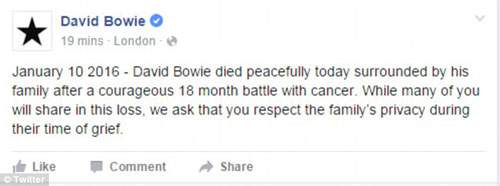 Huyền thoại âm nhạc David Bowie qua đời ở tuổi 69 3
