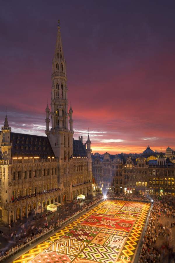 Choáng ngợp thảm hoa 700.000 bông phủ kín quảng trường 9