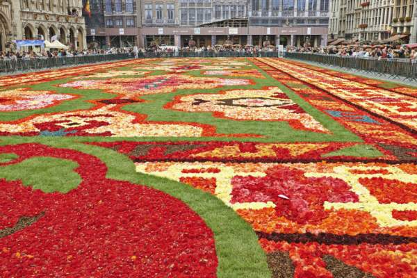 Choáng ngợp thảm hoa 700.000 bông phủ kín quảng trường 12