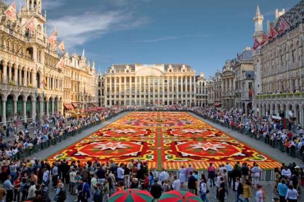 Choáng ngợp thảm hoa 700.000 bông phủ kín quảng trường 6