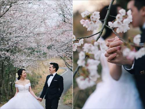Ảnh cưới ngập sắc hoa anh đào lãng mạn như phim Hàn Quốc 57