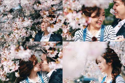 Ảnh cưới ngập sắc hoa anh đào lãng mạn như phim Hàn Quốc 24