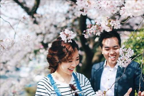 Ảnh cưới ngập sắc hoa anh đào lãng mạn như phim Hàn Quốc 21