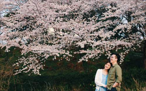 Ảnh cưới ngập sắc hoa anh đào lãng mạn như phim Hàn Quốc 36
