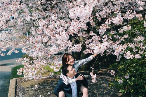 Ảnh cưới ngập sắc hoa anh đào lãng mạn như phim Hàn Quốc 27