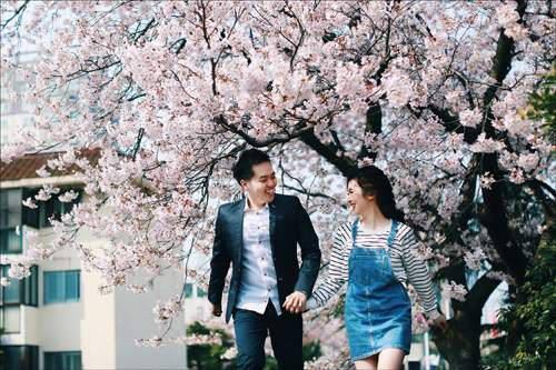 Ảnh cưới ngập sắc hoa anh đào lãng mạn như phim Hàn Quốc 6