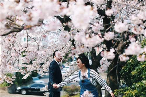 Ảnh cưới ngập sắc hoa anh đào lãng mạn như phim Hàn Quốc 18