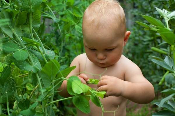 Hôm nay là ngày cả thế giới "khỏa thân làm vườn"! 15