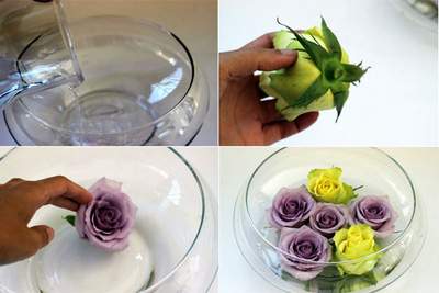 3 cách cắm hoa hồng đơn giản nhất cho nhà đẹp "phát ngất" 5