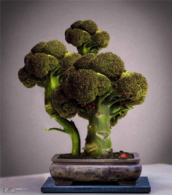 Mê mẩn biến tấu bonsai trồng từ rau, củ, quả 3