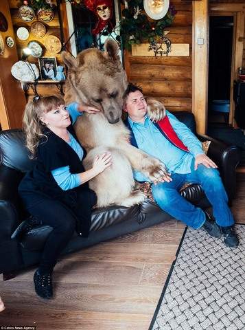 Gia đình Nga sống cùng chú gấu "đô vật" 140kg, cao 2,1m 5
