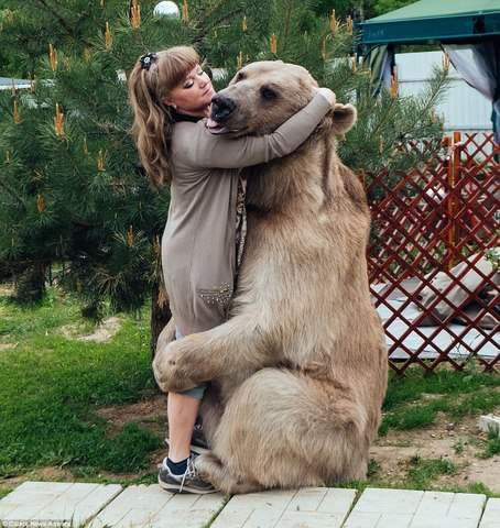Gia đình Nga sống cùng chú gấu "đô vật" 140kg, cao 2,1m 3