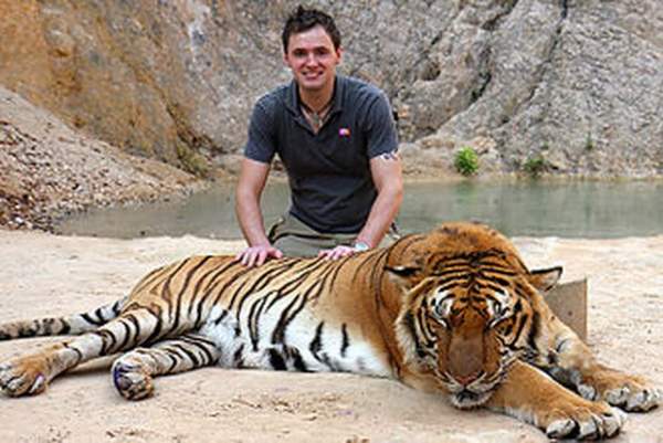 Ảnh: Sư Thái Lan ăn ngủ cùng 137 con hổ dữ 3