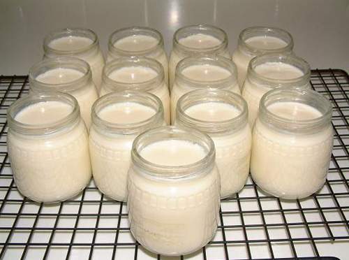 Cách làm sữa chua từ sữa công thức an toàn cho trẻ nhỏ 6