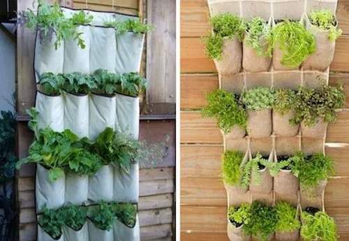 Các kiểu tái chế đồ cũ để trồng rau sạch tại nhà an toàn 10