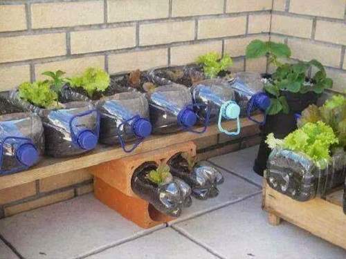 Các kiểu tái chế đồ cũ để trồng rau sạch tại nhà an toàn 12