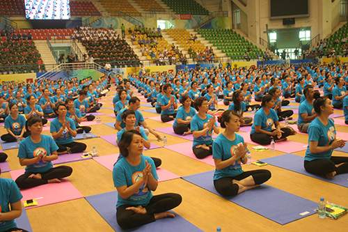 Tín đồ yoga Hà Nội nhộn nhịp hội tụ và khoe tài 15