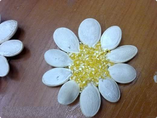 Cách làm bông hoa từ hạt bí đao "chưa bao giờ dễ hơn" 5