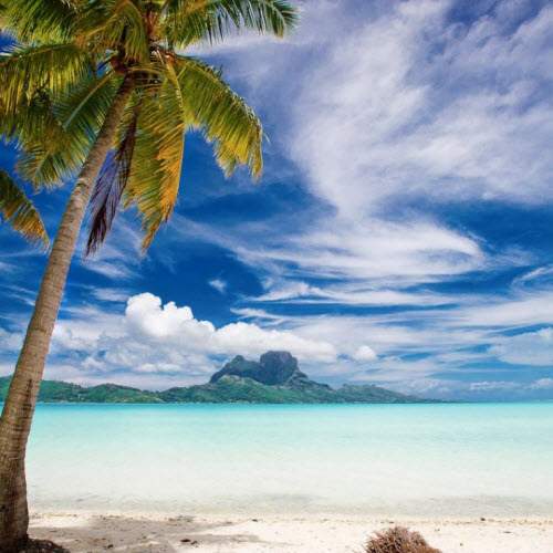 Bí mật ngạc nhiên về thiên đường nhiệt đới Bora Bora 9