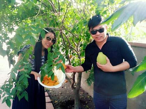 Vườn nhà ở Mỹ trĩu trịt cây trái Việt của Quang Lê 18