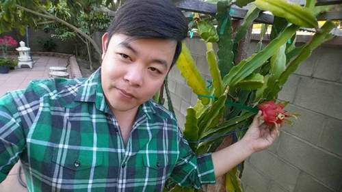 Vườn nhà ở Mỹ trĩu trịt cây trái Việt của Quang Lê 27