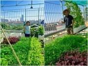 “Đã mắt” với vườn rau trên sân thượng của mẹ Việt ở Đài Loan 44