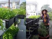 “Đã mắt” với vườn rau trên sân thượng của mẹ Việt ở Đài Loan 43